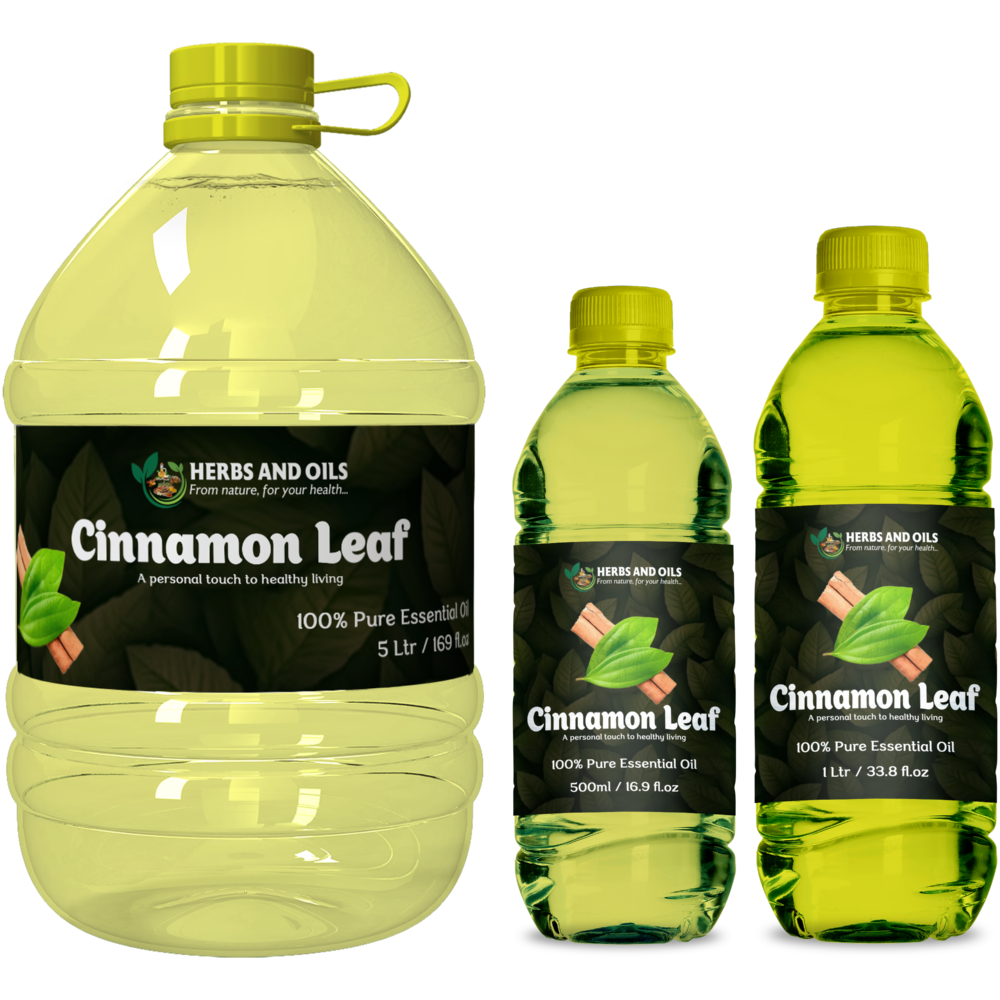 Shop Primary Image Shop Primary Image