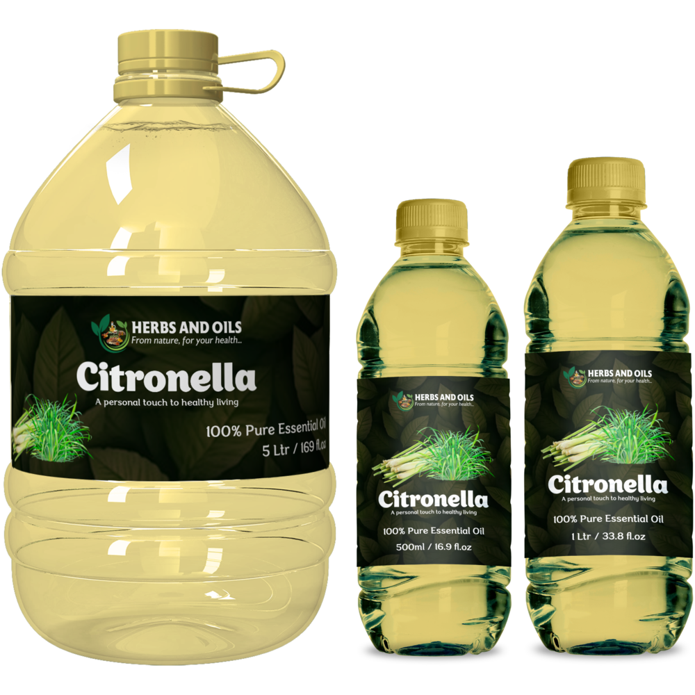 Shop Primary Image Shop Primary Image